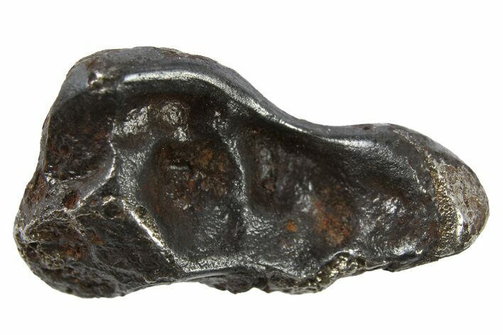 Sikhote-Alin Iron Meteorite ( g) - Regmaglypts! #266703